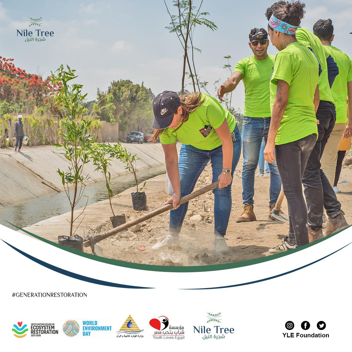 Nile Tree Project